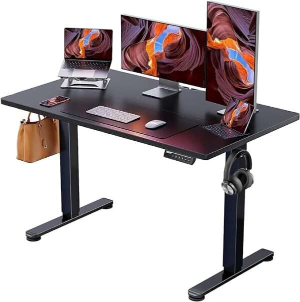 ErGear Height Adjustable Electric Standing Desk, 4 8 x24 Inches Sit Stand up Desk,