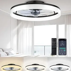 Ceiling Fans with Lights and Remote, 20" Modern Low Profile Ceiling Fan with Light