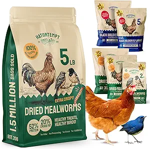 Dried Mealworms 5 lbs - Organic Non GMO Chicken Feed - High Protein
