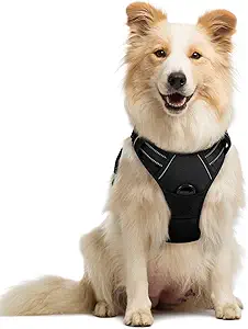 rabbitgoo Dog Harness No Pull with 2 Leash Clips, Adjustable Soft Padded, Reflective