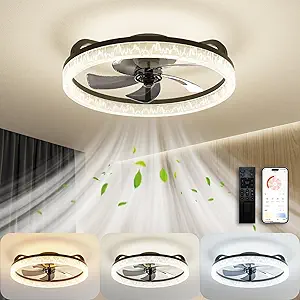 Ceiling Fans with Lights and Remote, Low Profile Ceiling Fan with Light