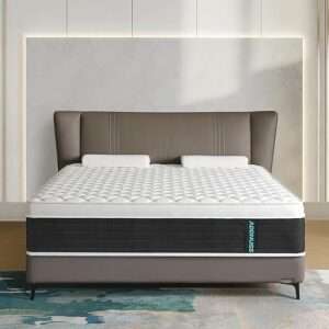 Queen Mattresses,12 Inch Memory Foam Hybrid Mattress in a Box with Individual