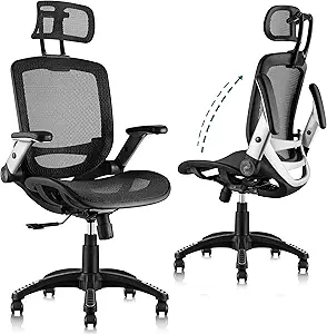 GABRYLLY Ergonomic Office Chair, High Back Home Desk Chair with Headrest