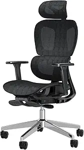 Ergonomic Mesh Office Chair with 3D Adjustable Armrest,High Back