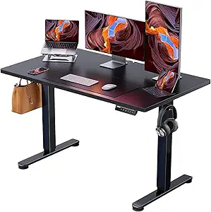ErGear Height Adjustable Electric Standing Desk, 48 x 24 Inches Sit