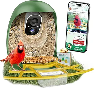 HIXX Smart Bird Feeder with Camera, Lifetime Free AI Identify Birds
